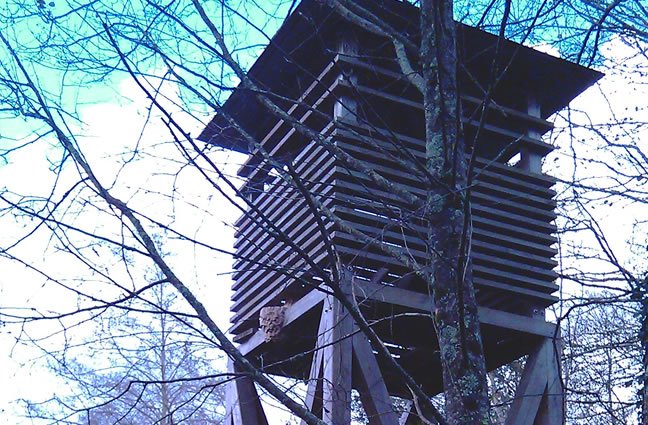 ID102 Algures na &Aacute;rea Protegida das Lagoas de Bertiandos e S&atilde;o Pedro de Arcos, Ponte de Lima