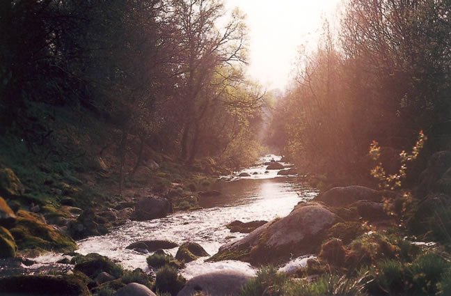 ID104 Outono! Rio Froufe, Entre Ambos-os-Rios, Ponte da Barca