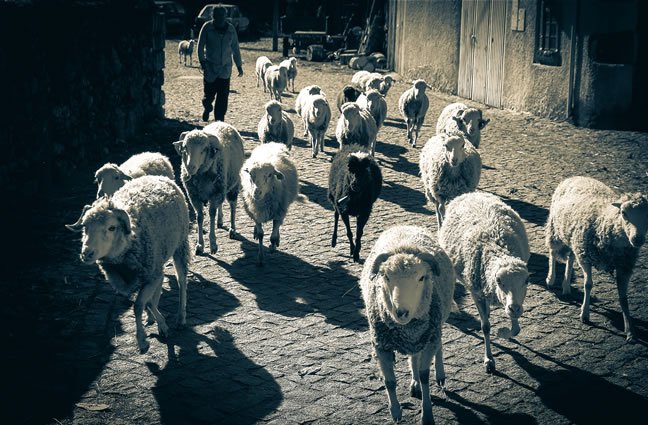 ID105 - Nov - M&atilde;e-Natureza, Arga de Cima, Caminha