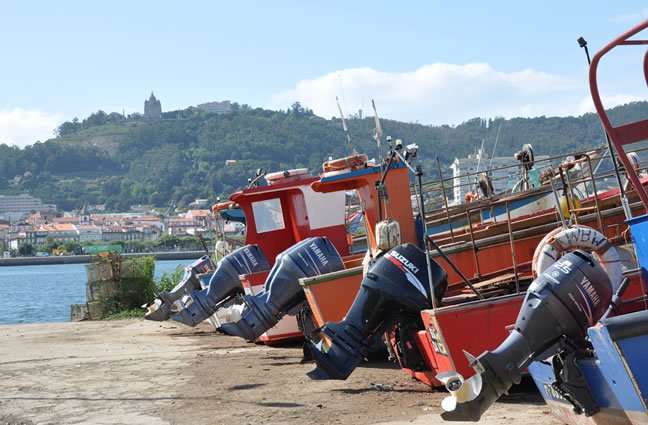 ID106 Prontos para a faina. Viana do Castelo