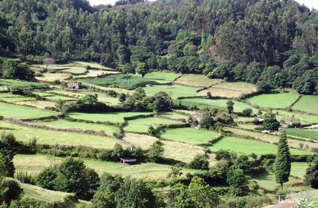 ID108 - Dezembro - Vontade e querer do Homem! Labruj&oacute;, Ponte de Lima