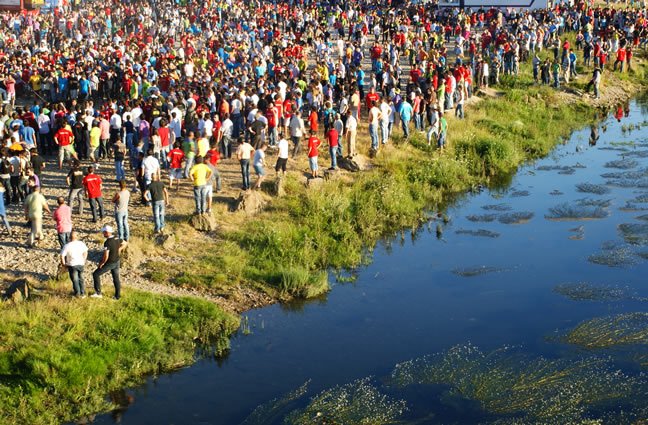 ID11 &Agrave; Margem da Vaca. Ponte de Lima