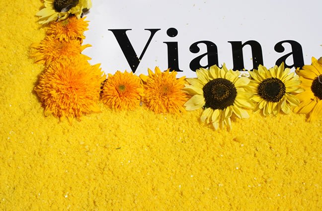 ID16 Eu Vi Ana... nos Tapetes. Viana do Castelo