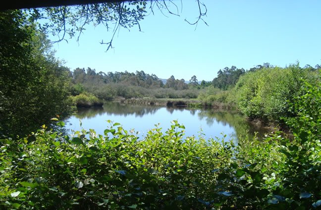 ID1 O sentir da natureza nas Lagoas de Bertiandos e S. Pedro d'Arcos, em Ponte de Lima