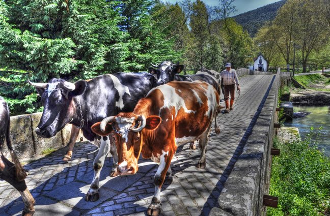 ID24 Passeio em fam&iacute;lia, Vilar de Mouros