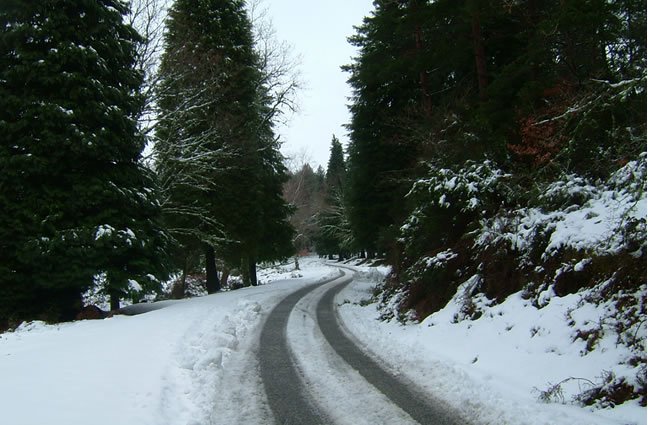 ID32 Pra frente &eacute; que &eacute; o caminho. Lamas de Mouro, Melga&ccedil;o