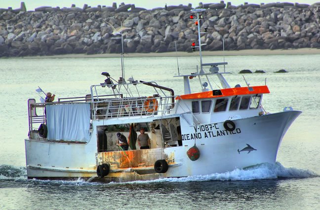 ID37 Regresso da faina. Porto de mar de Viana do Castelo.