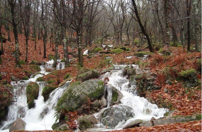ID4 A beleza natural do Parque Nacional da Peneda-Ger&ecirc;s