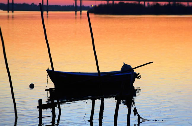 ID50 Os encantos do Lima. Santa Marta de Portuzelo, Viana do Castelo