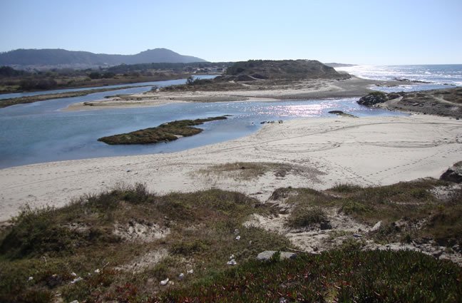 ID54 Foz do rio Neiva. Onde o rio conquista a liberdade! Castelo do Neiva, Viana do Castelo