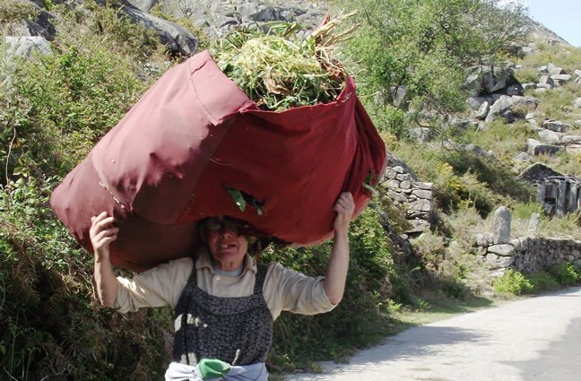 ID59 Serracines Serranas. Cerquido, Ponte de Lima