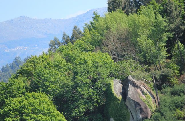 ID61 De um puro verde se alimenta...o penedo de Santa Comba. Arcos de Valdevez