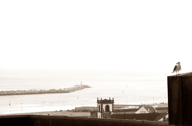 ID64 Eufemismo de Viana, a 4 elementos... apesar da paix&atilde;o por Melga&ccedil;o, troca por um v&ocirc;o sobre a &aacute;gua e a hist&oacute;ria! Viana do Castelo