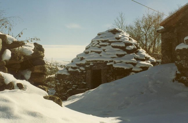 ID79 - Julho - A beleza e a gra&ccedil;a de uma Cardenha com neve! Santo Ant&oacute;nio de Vale de Poldros, Riba de Mouro, Mon&ccedil;&atilde;o