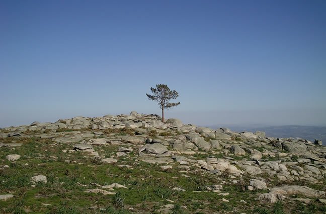 ID7 S&oacute; vencendo os obst&aacute;culos do presente poderemos alcan&ccedil;ar as paisagens do futuro. &Aacute;rea circundante do Santu&aacute;rio de N. Sra. do Minho