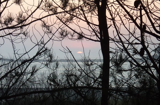 ID80 Escondidos. Mata do camarido, Caminha