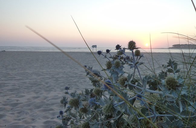 ID83 A bonan&ccedil;a do mar de Caminha, iluminado pelo sol que se esconde e apaga