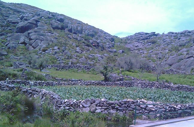 ID89 - Setembro - Hortas de Montanha, algures no Cerquido. Estor&atilde;os, Ponte de Lima