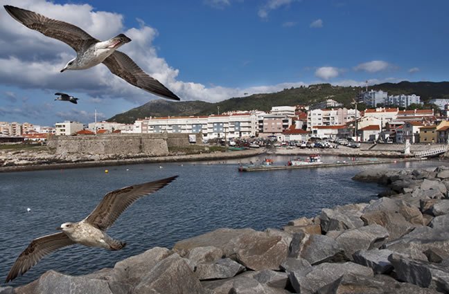 ID9 Port(inh)o seguro. Vila Praia de &Acirc;ncora, Caminha.